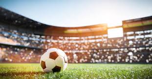 Bsports必一网页版 篮球成人热身器材